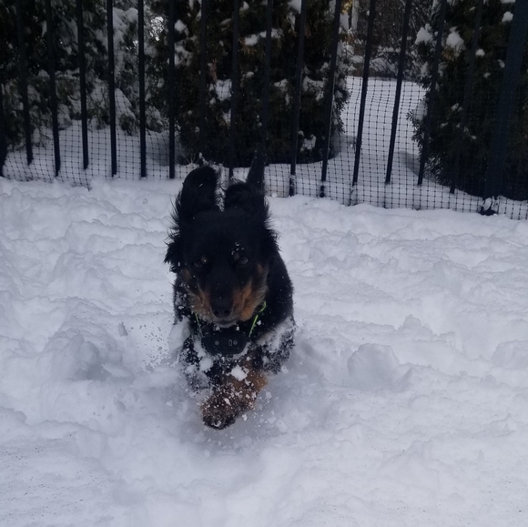 Meet your Posher, Kayla - Picture 13 of 13